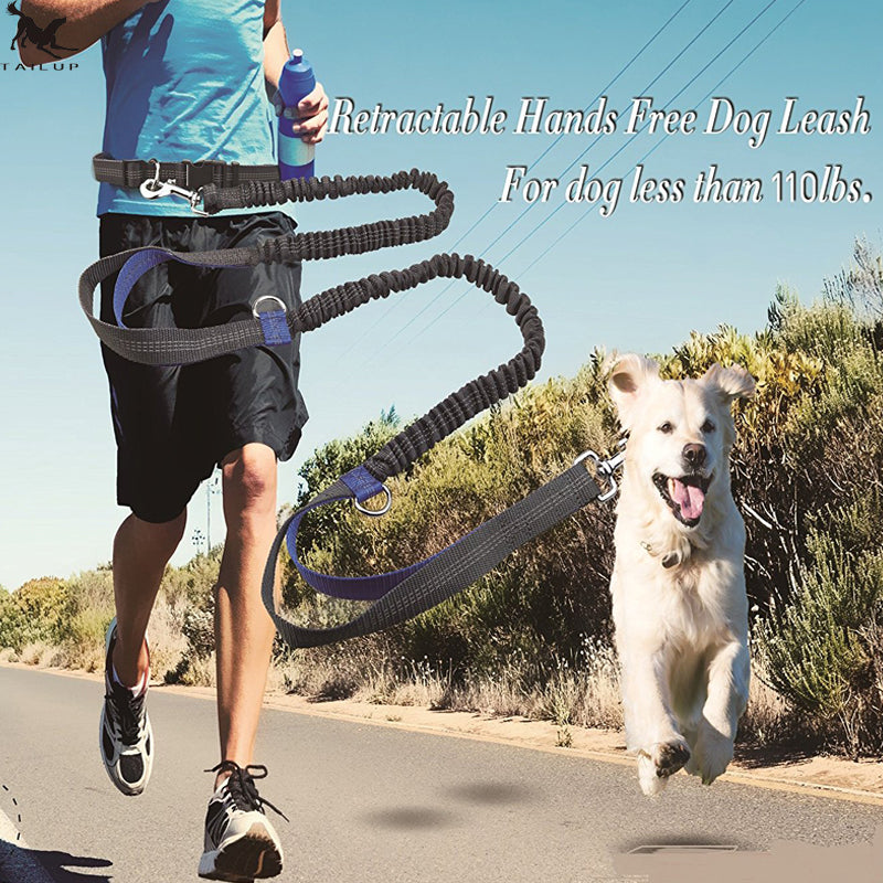 Reflective Stitching Double Elastic Adjustable Dog Belt Leash for Walking, Jogging and Running
