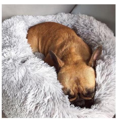 Round Plush Dog Calming Bed For Small Dogs