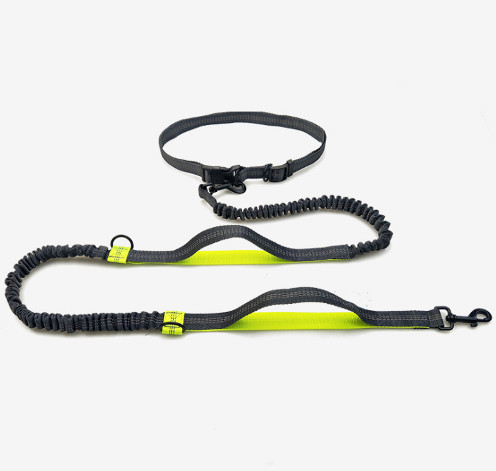 Reflective Stitching Double Elastic Adjustable Dog Belt Leash for Walking, Jogging and Running