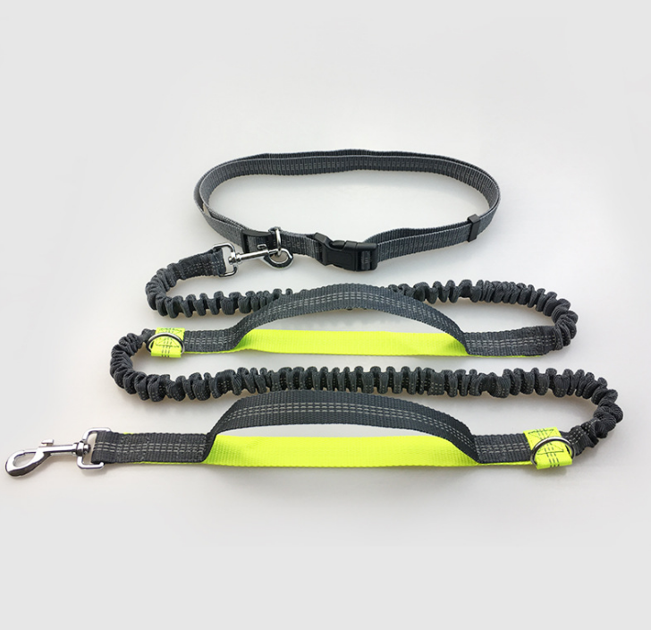 Reflective Stitching Double Elastic Adjustable Dog Belt Leash for Walking, Jogging and Running