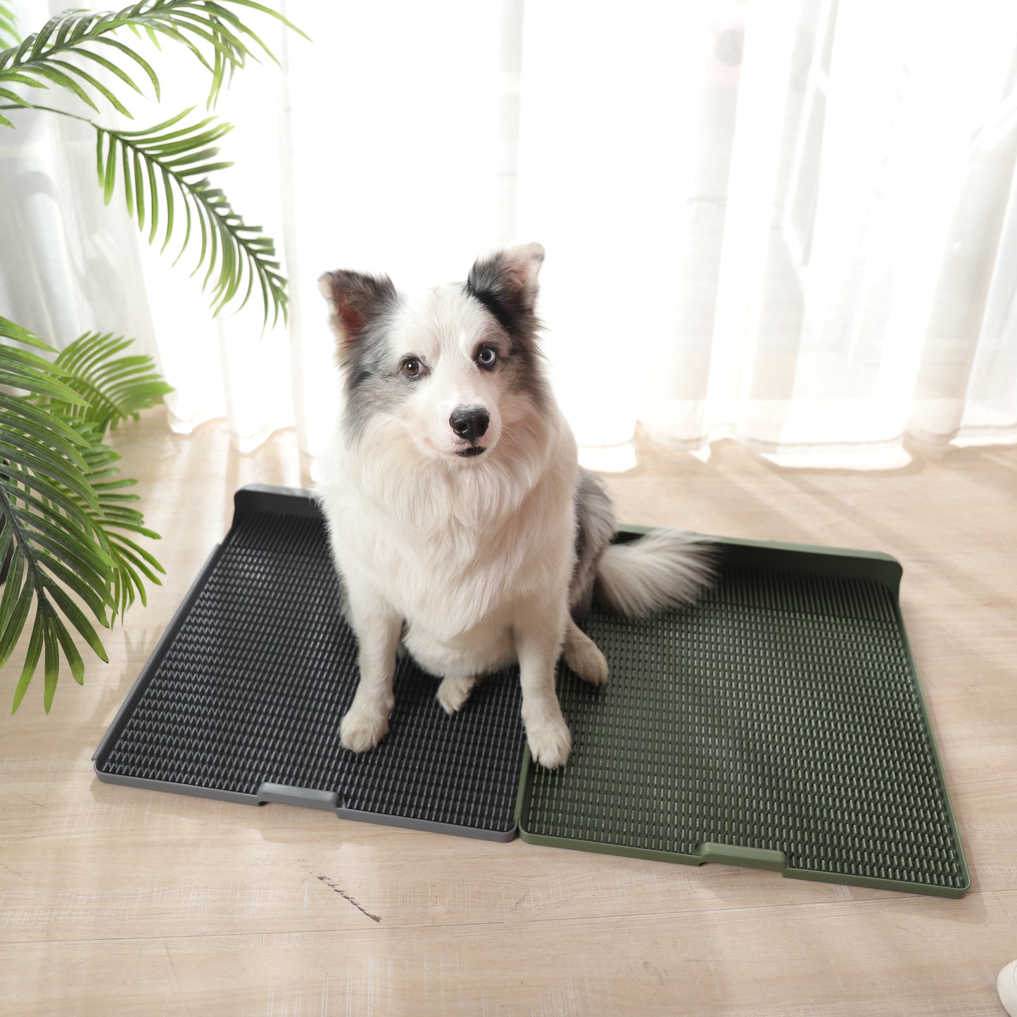 Easy-Wash Connectable Dog Puppy Potty Tray for Indoor or Patio Use (Reusable)