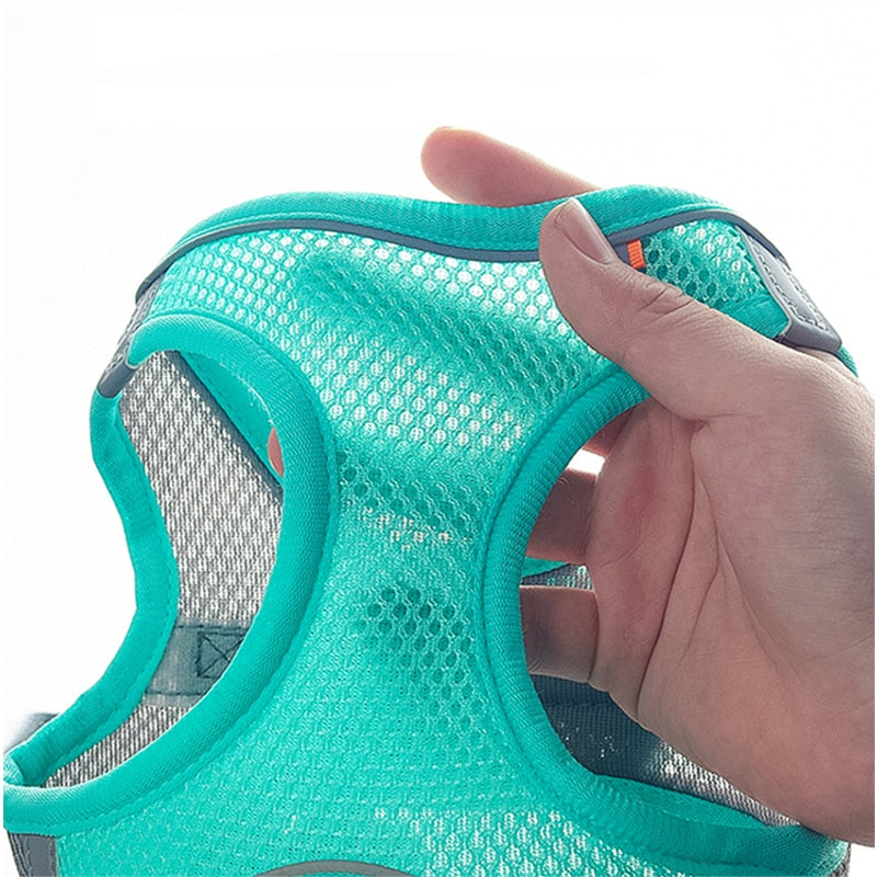 Light and Breathable Harness for Small and Medium Dog