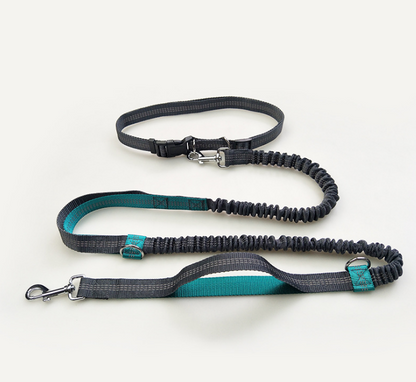 Reflective Stitching Double Elastic Adjustable Dog Belt Leash for Walking, Jogging and Running