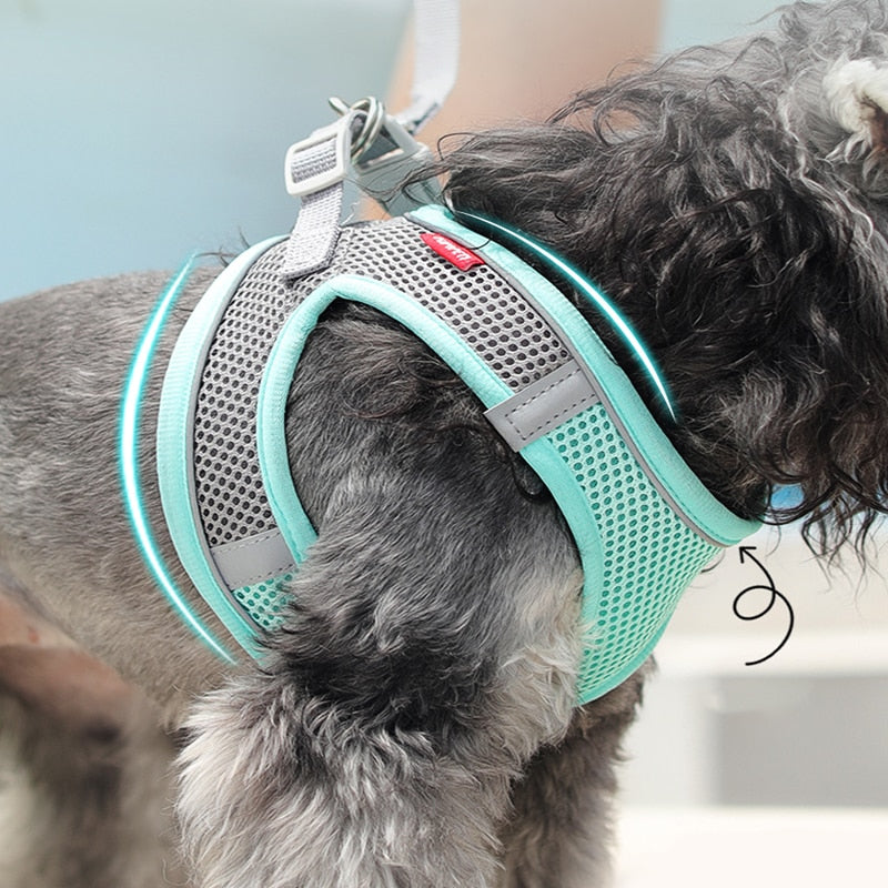 Light and Breathable Harness for Small and Medium Dog