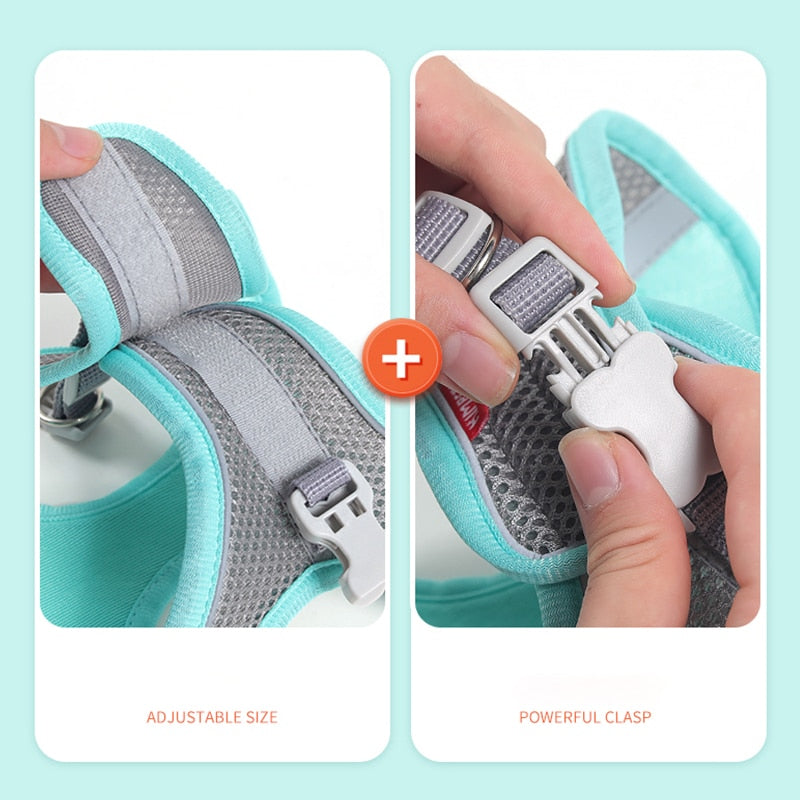 Light and Breathable Harness for Small and Medium Dog