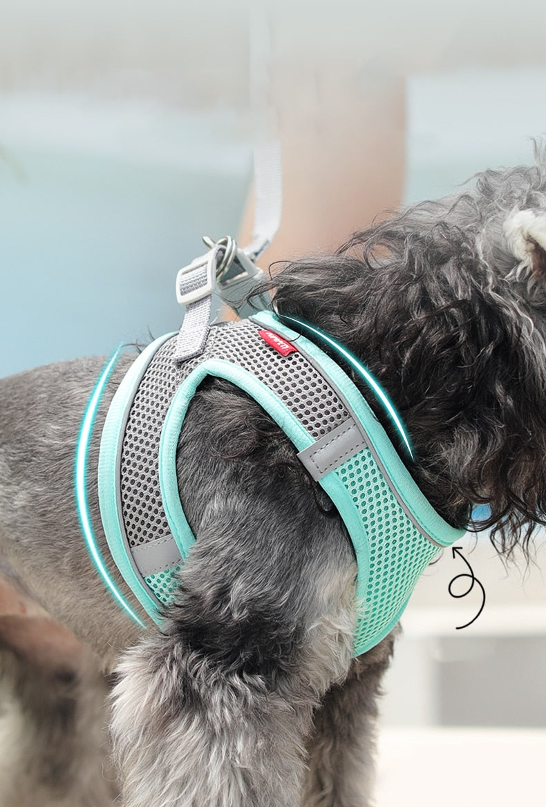 Light and Breathable Harness for Small and Medium Dog