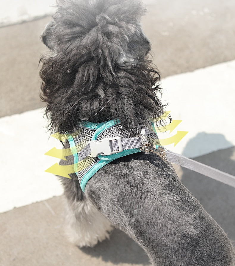 Light and Breathable Harness for Small and Medium Dog