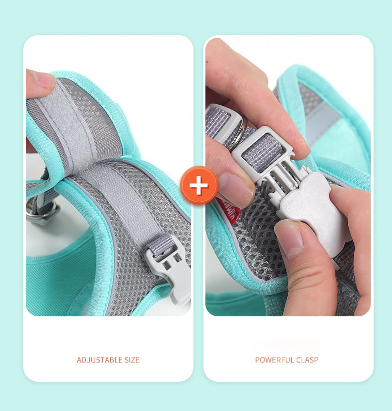 Light and Breathable Harness for Small and Medium Dog